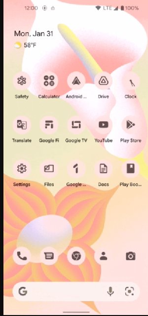 android_13_material_you_themed_icons_2